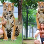 hp-aditi-mistry-instagram-bigg-bosswebpxocxbnwyz.webp.webp