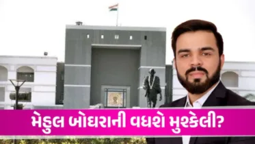 ‘તમે પોલીસની પાછળ પડી ગયા છો, પબ્લિસિટીના ભૂખ્યા છો,’ હાઈકોર્ટે મેહુલ બોઘરાને ખખડાવ્યો