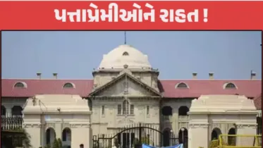 પત્તાપ્રેમીઓને રાહત! ‘રમીની રમત જુગાર નથી’, હાઈકોર્ટનો મહત્વપૂર્ણ ચુકાદો