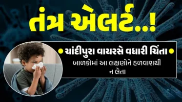 Chandipura virus: 24 કલાકમાં 4 બાળકોના મોત, રાજ્ય સરકારે તાત્કાલિક બોલાવી બેઠક