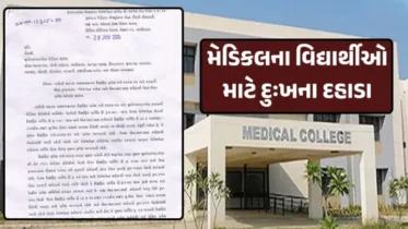 GMERS મેડિકલ કોલેજોની ફીમાં વધારો, સરકારી કોટાની ફી પહોંચી ગજાના બહાર