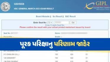 gseb 10th result: ધોરણ ૧૦ ની પૂરક પરીક્ષાનું પરિણામ જાહેર, અહીંથી કરો ચેક