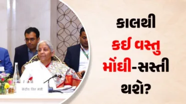 જીવન અને હેલ્થ વીમાં માટે રાહત, ઑનલાઇન ફૂડ થશે સસ્તું, મોંઘી થનારી ચીજોની યાદી લાંબી