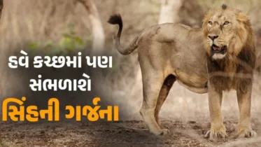 ગુજરાતમાં પ્રવાસન ઉદ્યોગને મળશે વધુ વેગ, 3 નવા સફારી પાર્કને મળી મંજૂરી