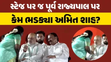 અમિત શાહે પૂર્વ રાજ્યપાલને સ્ટેજ પર કેમ ખખડાવ્યા? જુઓ વાયરલ વિડીયો