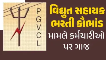 PGVCL ભરતી કૌભાંડ: 30 વિદ્યુત સહાયકો ફરજ મુક્ત કરાયા