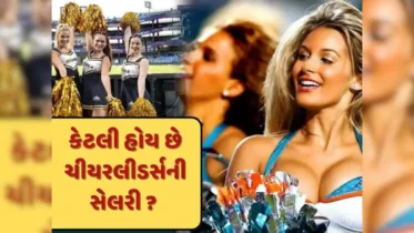 IPL Cheerleaders Salary: કેટલો હોય છે IPL ચીયરલીડર્સનો પગાર? કઈ ફ્રેન્ચાઈઝી આપે છે સૌથી વધુ સેલરી?