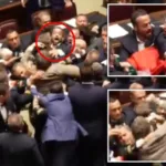 hp-italy-parliament-viral-videowebpyz8frrnse.webp.webp