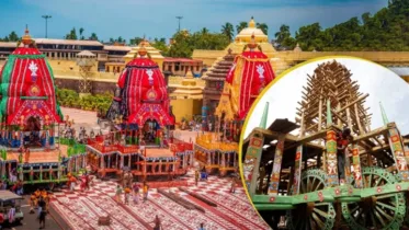 જગન્નાથની યાત્રા પછી રથનું શું થાય છે, તેના લાકડા ક્યાં જાય છે?
