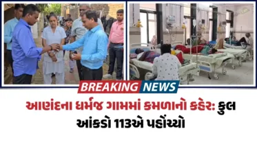 આણંદના ધર્મજ ગામમાં કમળાનો કહેર: વધુ 8 નવા કેસ, કુલ આંકડો 113એ પહોંચ્યો