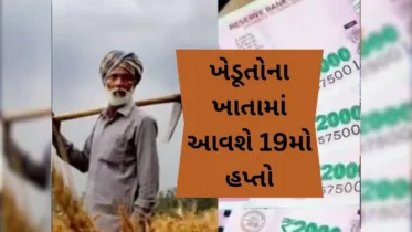 PM Kisan 19th Instalment: પીએમ કિસાન યોજનાનો 19 મો હપ્તો ખેડૂતોના ખાતામાં કયારે જમા થશે? તારીખ જાહેર