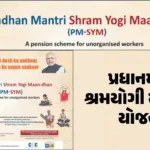 hp-pm-shram-yogi-mandhan-yojanapng7tterzabb.png