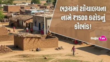 ભરૂચમાં શૌચાલયના નામે ₹1500 કરોડનું કૌભાંડ! આદિવાસી વિસ્તારોમાં ખુલ્લામાં શૌચક્રિયા હજુ પણ પ્રચલિત છે