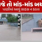 hp-sabarkantha-rainjpgqk4jiouzb.jpg