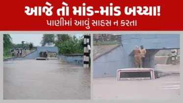 Video: હિંમતનગરમાં બસ પાણીમાં ડૂબી ગઈ: ડ્રાઈવરની ભૂલ ભારે પડી