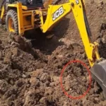 hp-the-old-floor-came-out-of-the-field-while-digging-with-jcb-people-started-running-away-when-they.jpeg