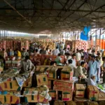 hp-today-mango-price-in-gondal-market-yardwebpv9axpuyjo.webp.webp