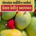 hp-today-porbandar-saffron-mango-price-02-12-2024jpgz2kxr2ixg.jpg